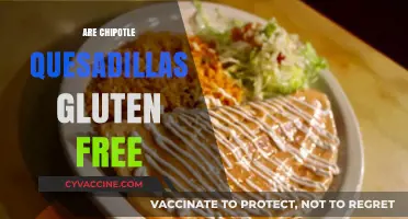 Chipotle Quesadillas: Gluten-Free or Not? A Complete Guide