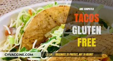 Chipotle Tacos: Gluten-Free or Not? A Complete Guide