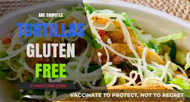 Are Chipotle Tortillas Gluten-Free? A Clear Answer for Diners