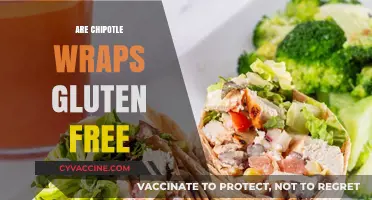 Chipotle Wraps: Are They Gluten-Free? A Complete Guide
