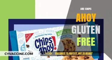 Are Chips Ahoy Gluten-Free? Uncovering the Truth for Celiac Eaters