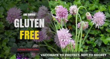 Are Chives Gluten Free? A Complete Guide to Safe Consumption
