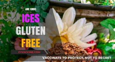 Are Choc Ices Gluten-Free? A Sweet Treat Guide