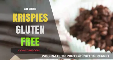 Are Choco Krispies Gluten-Free? A Complete Guide for Celiacs