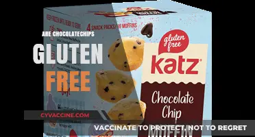 Are Chocolate Chips Gluten-Free? A Sweet and Simple Guide