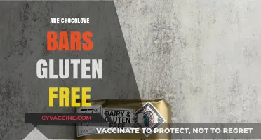Are Chocolove Bars Gluten-Free? A Sweet and Safe Snack Guide
