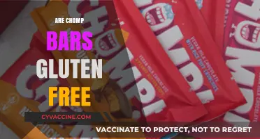 Are Chomp Bars Gluten-Free? A Complete Guide for Snack Lovers