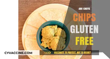 Are Chuy's Chips Gluten-Free? A Crunchy Dietary Inquiry