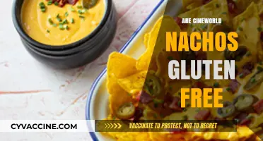 Are Cineworld Nachos Gluten-Free? A Movie Snack Guide