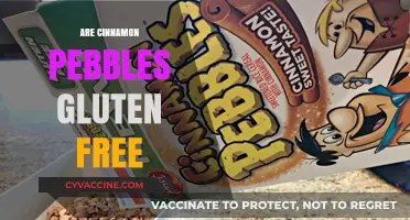 Are Cinnamon Pebbles Gluten-Free? A Crunchy Cereal Mystery Solved