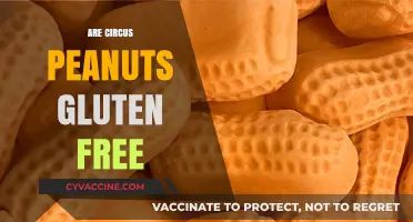 Are Circus Peanuts Gluten-Free? Unraveling the Candy Mystery