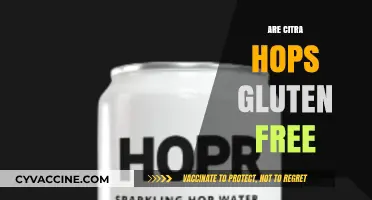 Are Citra Hops Gluten-Free? A Comprehensive Guide for Beer Lovers