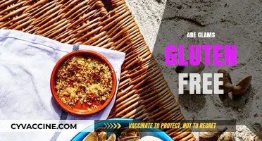 Are Clams Gluten-Free? A Seafood Lover's Guide to Safe Eating