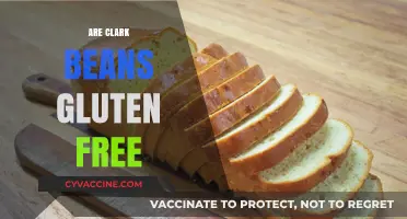 Are Clark Beans Gluten-Free? A Comprehensive Guide for Celiac Diets