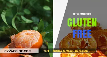 Are Clementines Gluten-Free? A Clear Answer for Celiac Diets