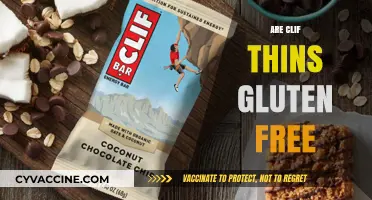 Are Clif Thins Gluten-Free? A Complete Guide to Ingredients and Options