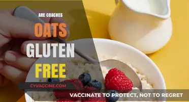 Are Coach's Oats Gluten-Free? A Comprehensive Guide for Health-Conscious Eaters