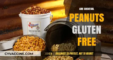 Are Cocktail Peanuts Gluten-Free? A Nut Lover's Guide