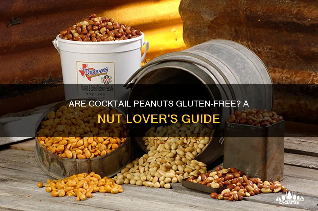 are cocktail peanuts gluten free