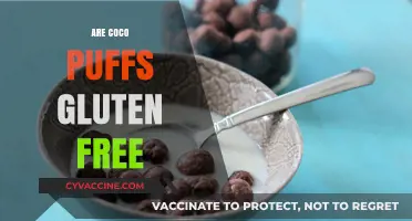 Are Coco Puffs Gluten-Free? A Complete Guide for Cereal Lovers