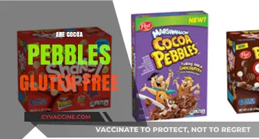 Are Cocoa Pebbles Gluten-Free? A Complete Guide to Ingredients