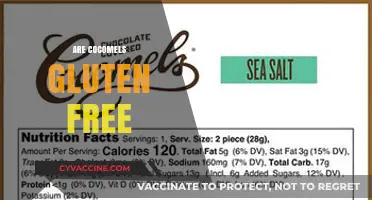 Are Cocomels Gluten-Free? Discover the Truth About These Sweet Treats