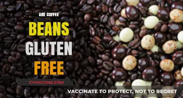 Are Coffee Beans Gluten-Free? Uncovering the Truth for Celiac Sufferers