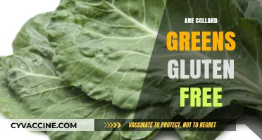 Are Collard Greens Gluten-Free? A Nutritional Breakdown and Benefits