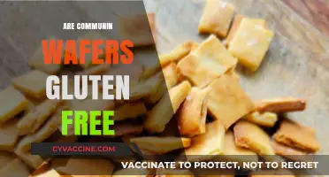 Are Communion Wafers Gluten-Free? Exploring Options for Celiac Worshipers
