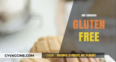 Are Conchas Gluten-Free? Discover the Truth About This Mexican Treat