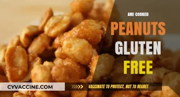 Are Cooked Peanuts Gluten-Free? A Comprehensive Guide for Celiacs