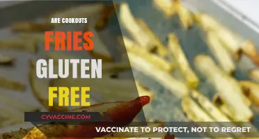 Are Cookout Fries Gluten-Free? A Complete Guide for Celiac Diners