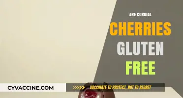 Are Cordial Cherries Gluten-Free? A Sweet Treat Investigation
