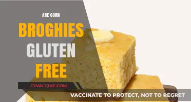 Are Corn Broghies Gluten Free? A Complete Guide for Celiacs