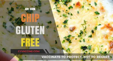 Are Corn Chips Gluten-Free? A Crunchy Snack Fact Check