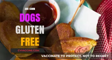 Are Corn Dogs Gluten-Free? A Complete Guide for Celiac Eaters