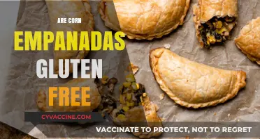 Are Corn Empanadas Gluten-Free? A Complete Guide to Ingredients