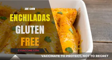 Are Corn Enchiladas Gluten-Free? A Complete Guide for Celiacs