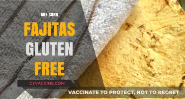 Are Corn Fajitas Gluten-Free? A Complete Guide to Safe Eating