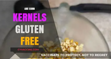Are Corn Kernels Gluten-Free? Unraveling the Truth for Celiac Diets