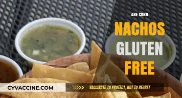 Are Corn Nachos Gluten-Free? A Crunchy Snack Fact Check