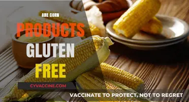 Are Corn Products Gluten-Free? Unraveling the Truth for Celiac Diets