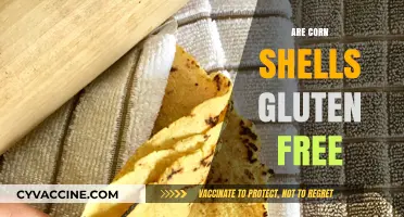 Are Corn Shells Gluten-Free? A Complete Guide to Safe Snacking
