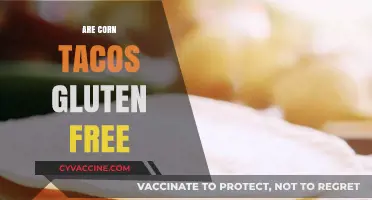 Are Corn Tacos Gluten Free? A Complete Guide to Safe Eating