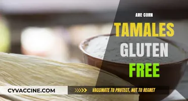Are Corn Tamales Gluten Free? A Complete Guide for Celiacs