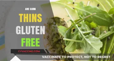 Are Corn Thins Gluten-Free? A Complete Guide for Celiac Diets