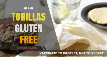 Are Corn Tortillas Gluten-Free? A Complete Guide for Celiac Diets
