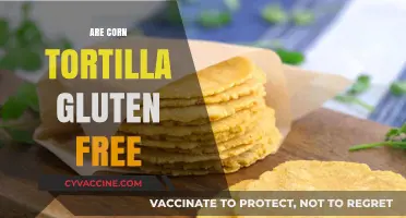 Are Corn Tortillas Gluten-Free? A Clear Answer for Celiacs