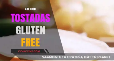 Are Corn Tostadas Gluten-Free? A Crunchy Dietary Dilemma Explained