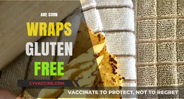 Are Corn Wraps Gluten-Free? A Complete Guide for Celiac Diets